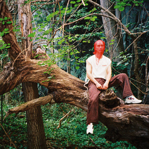 大扔子晃来晃去全文免费阅读
