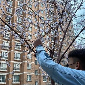 大扔子晃来晃去全文免费阅读
