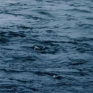 大扔子晃来晃去全文免费阅读
